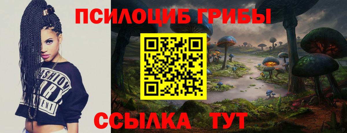 Челябинск  Галлюциногенные грибы GOLDEN TEACHER  Вход с VPN 